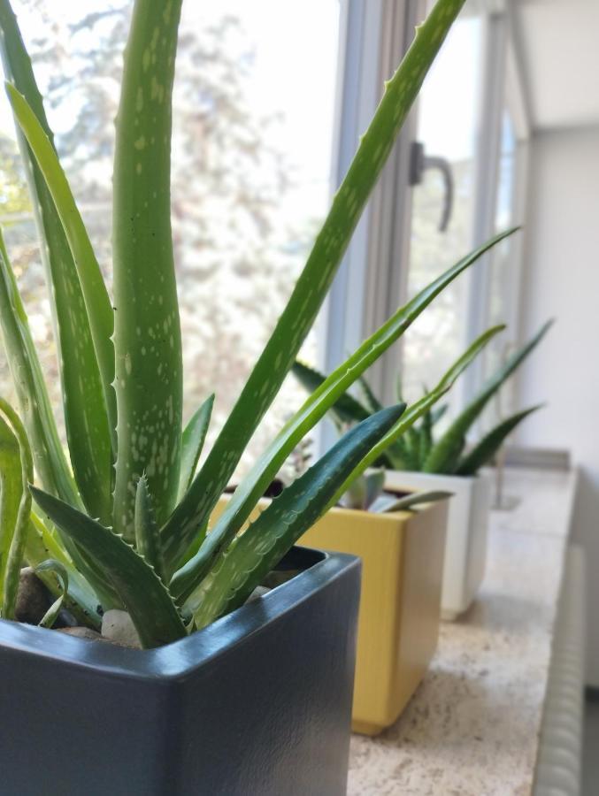 Apartament A Casa Di Twiggy Bolonia Zewnętrze zdjęcie